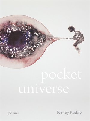 cover image of Pocket Universe